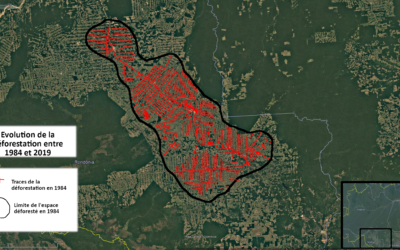 Déforestation – Le cas de l’évolution de la forêt en Amazonie (5e)