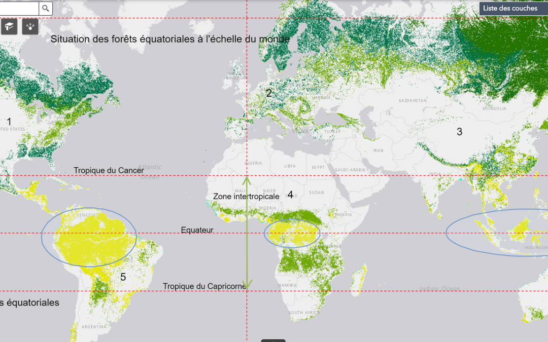 Déforestation – La répartition des forêts équatoriales (5e)