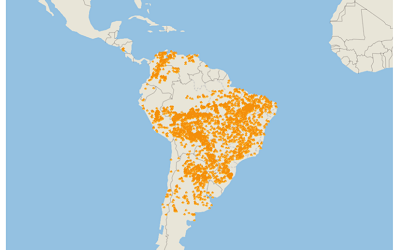 * Texte pour décrire la répartition des incendies en Amazonie