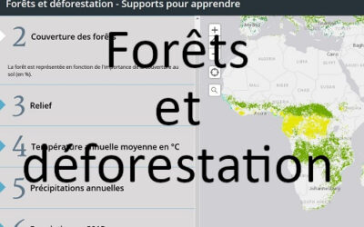 Forêts et déforestation