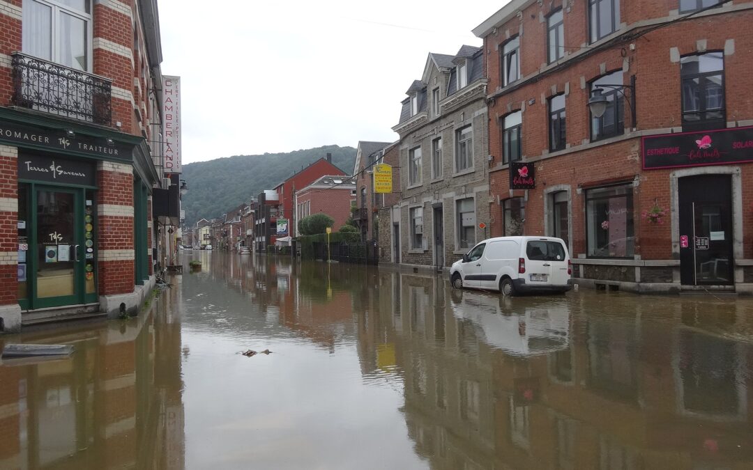 Décrire la répartition de l’aléa et du risque – Inondation dans la région liégeoise juillet 2021