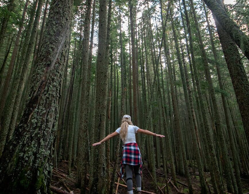 back view of a woman walking on a log in the forest