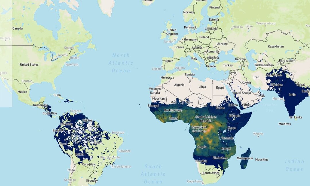 The Malaria Atlas Project