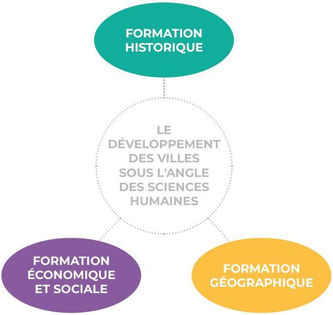 SA tc interdisciplinaire
