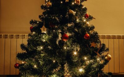 Mon beau sapin, roi des campagnes